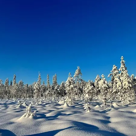 Your Swedish Retreat Villa