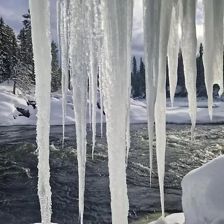 Your Swedish Retreat Alblasserdam