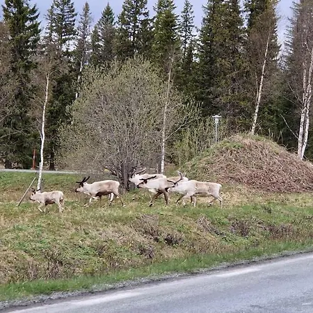 Βίλα Your Swedish Retreat