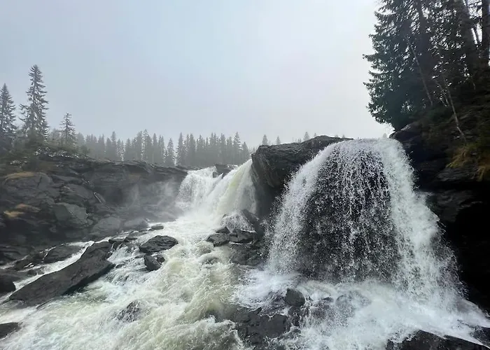 Your Swedish Retreat * Alblasserdam