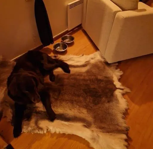 Villa Your Swedish Retreat