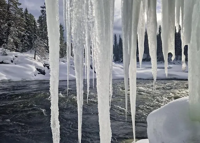 Your Swedish Retreat Alblasserdam