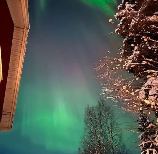 Your Swedish Retreat Alblasserdam