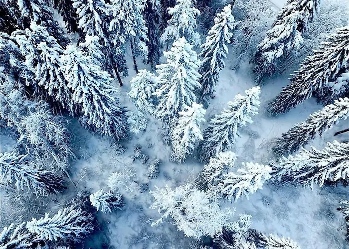 Villa Your Swedish Retreat