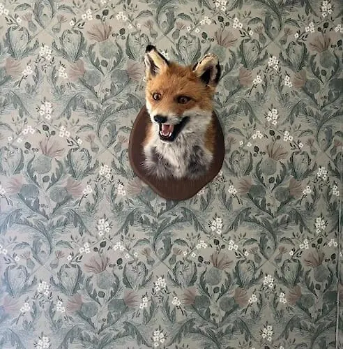 Your Swedish Retreat *